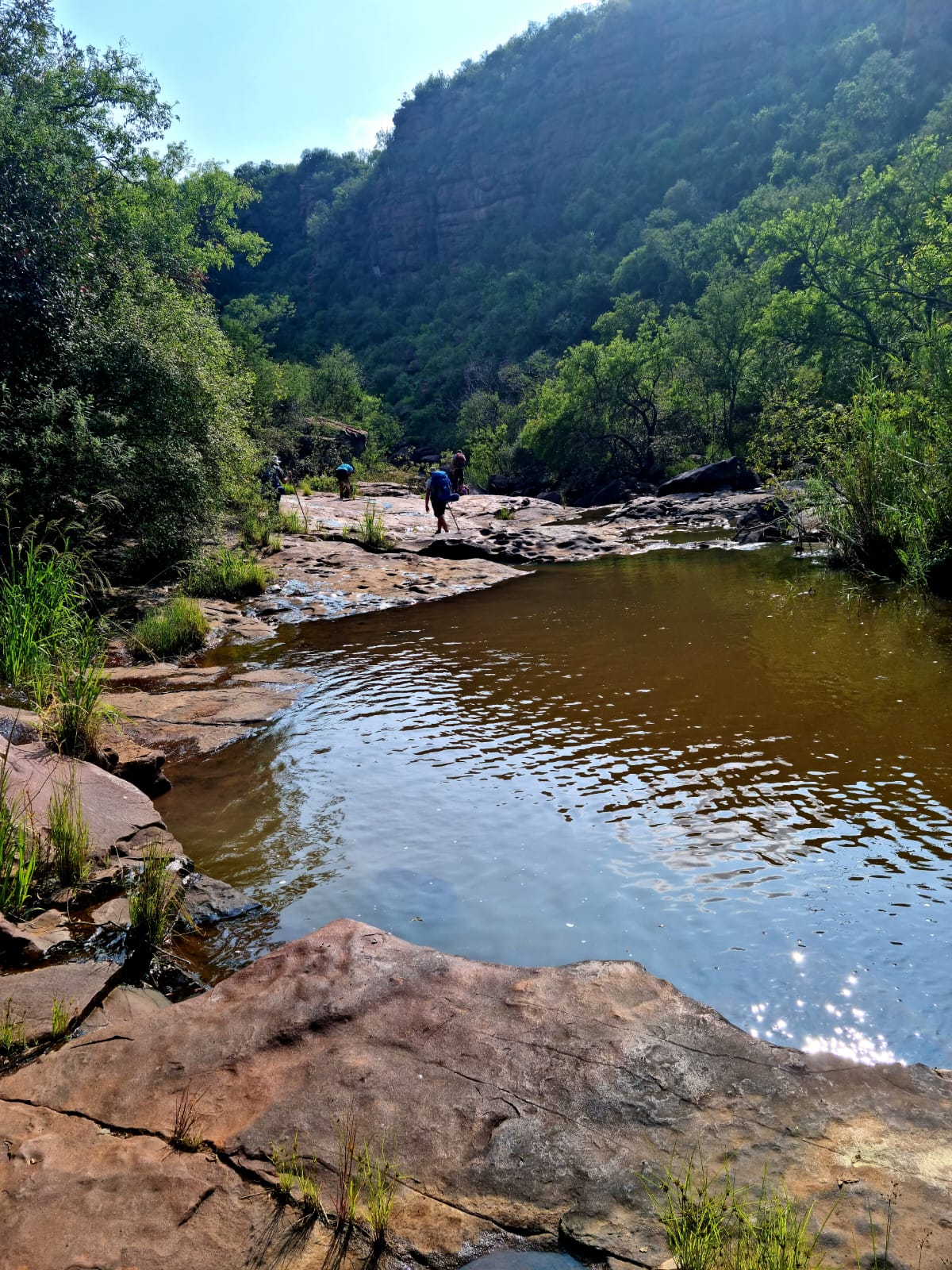 IMG-20220313-WA0059